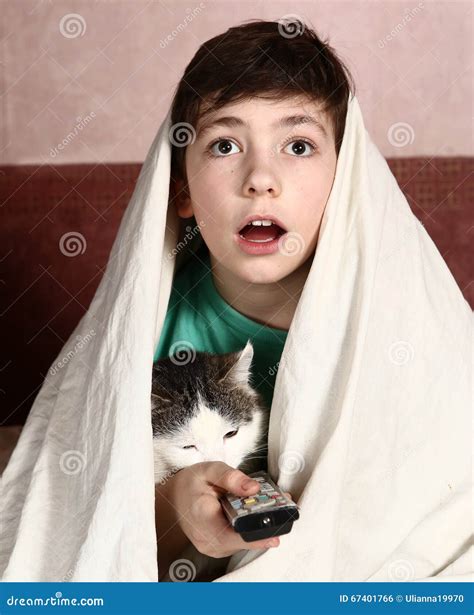 Boy with Cat Watch Horror Movie Stock Photo - Image of cinema, girl
