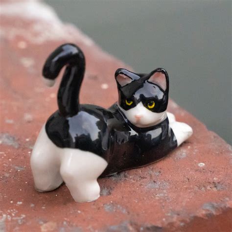 Tuxedo Kitten