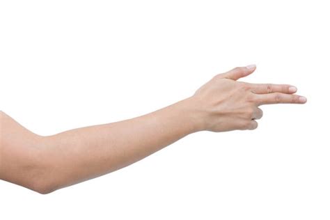 man arms  stock  pictures royalty  images