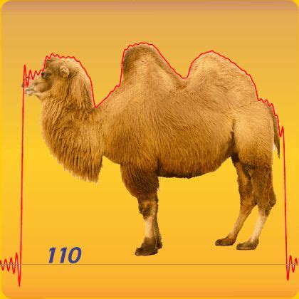 How To Wave A Camel – Hard Science Ain't Hard