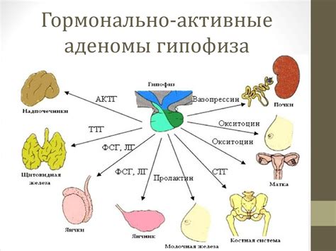Алгоритм диагностики пациентов с аденомами гипофиза - презентация онлайн