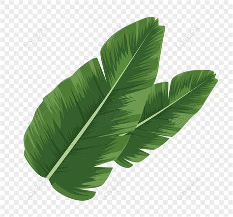 Daun Hd Png - 58+ Koleksi Gambar