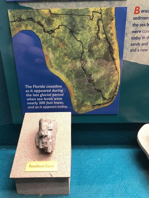 Florida today vs Florida during the last glacial... - Maps on the Web