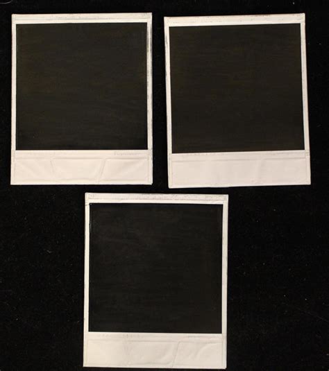 Lot - Vintage Male Nude Polaroid Photographs