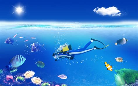 Обои Аквалангист, скачать обои, фото и картинки бесплатно