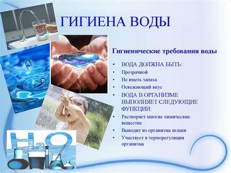 Личная и общественная гигиена. Гигиенические основы физических ...