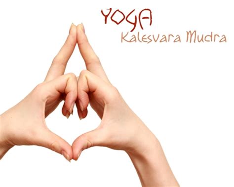 Kaleshvara Mudra - Yogapedia.it
