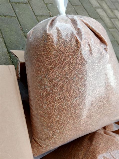 Proso pokarm papuga Śmigiel • OLX.pl