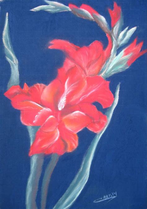Dessin Le glaieul
