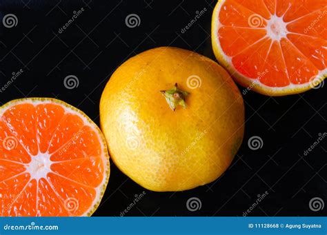 orange  stock photo image  natural plant tropic