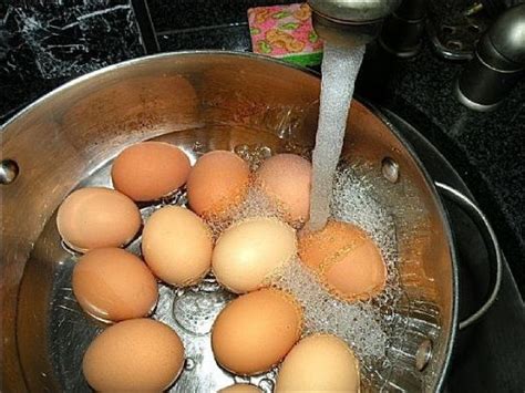 How Long To Boil an Egg? Boil an egg in the Microwave