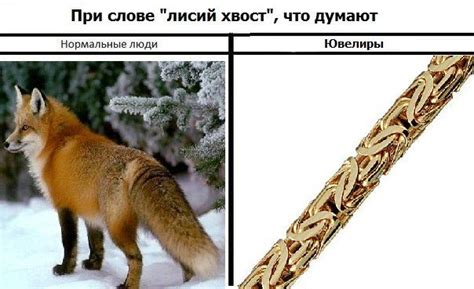 лисий хвост | Животные, Лисьи хвосты, Рисунки животных