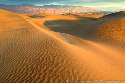 Mojave Desert Photos | Photos by Ron Niebrugge