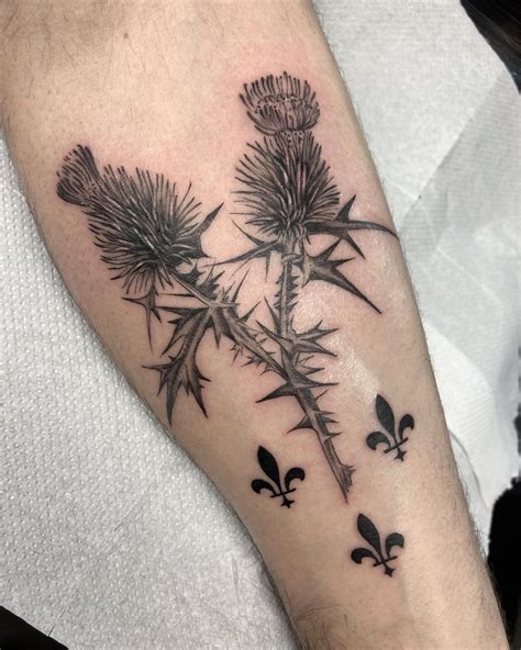 thistles tattoo