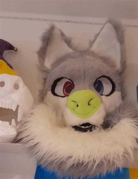 Mein Fursuit ist endlich fertig 😍 | German Furries Amino