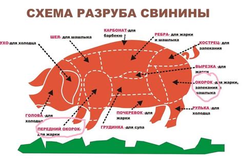 Что такое окорок?
