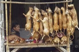 Hla Oo's Blog: Burmese Dogs For Dog-meat Restaurants In China