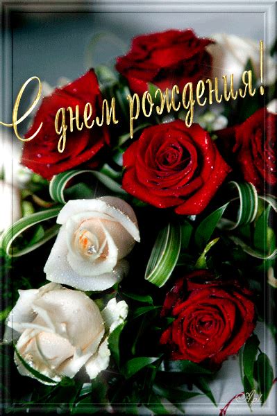 С Днем Рождения ! | С днем рождения, Смешные счастливые дни рождения ...
