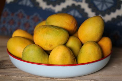 Mangoes — And My Friend. Story about My friend Send me Mangoes… | by ...