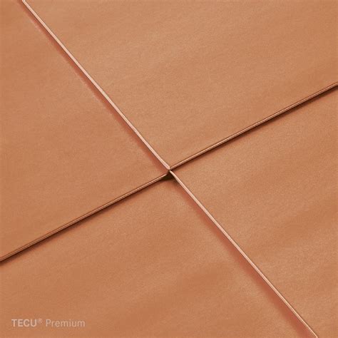 TECU Premium – Delos