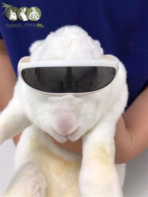 พบความเท่... - โรงพยาบาลสัตว์แอนิมอลสเปซ Animal Space Hospital