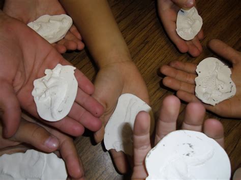 Fossils – Patties Classroom