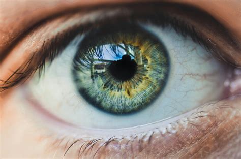 Augen Bilder Kostenlos Augen Jackys-kreative-welt.de Kwick Bilder Pics