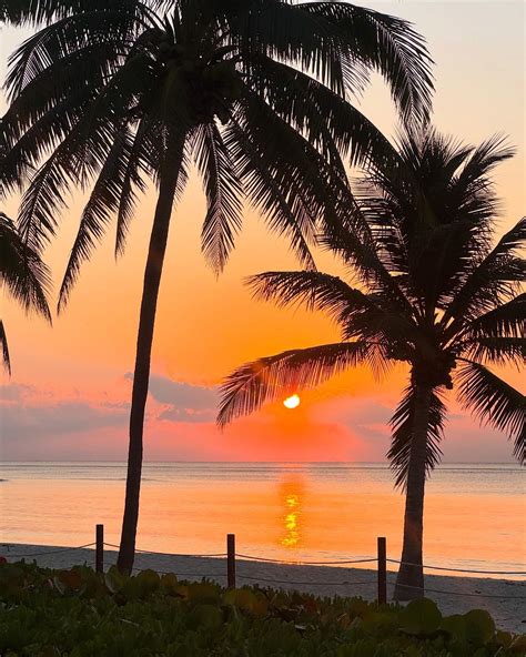 cover for pictures 5