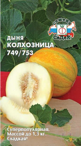 Дыня Колхозница 749-753 купить семена по низкой цене, доставка почтой ...
