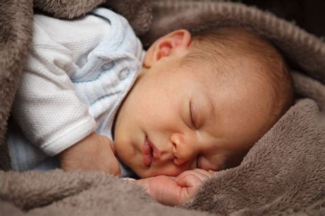 newborn sleeping  stock photo public domain pictures