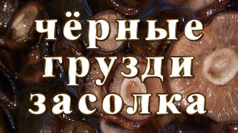 Чёрные грузди засолка. - YouTube