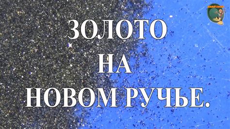 Нашел новый золотой и перспективный ручей. Мою лотком на ручье. - YouTube