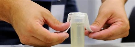 how much water to dilute urine for drug test