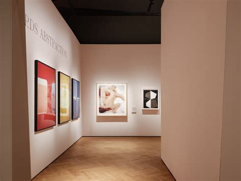 V&A Fragile Beauty - EBBA : EBBA