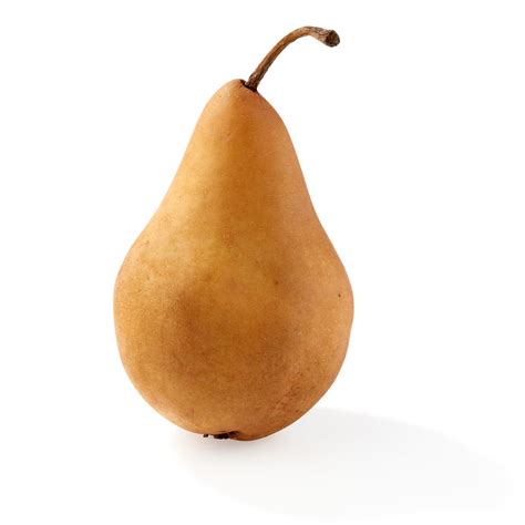 Fresh Bosc Pears | Fig App