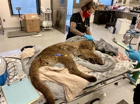 sfgate obituaries san francisco 8