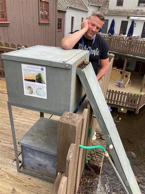 Glass eel migration up Plymouth Town Brook a sight to see outside the