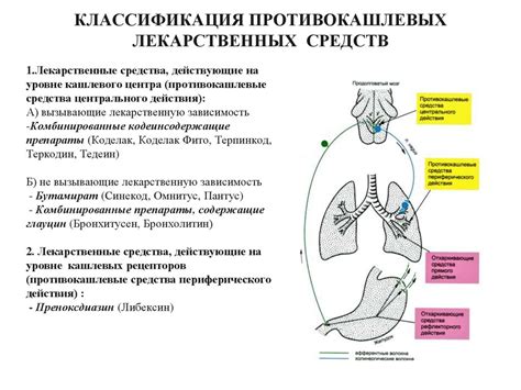 Противокашлевые лекарственные средства. Мукоактиновые лекарственные ...