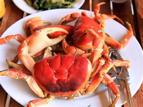 cua nui da gia bao nhieu mua  dau che bien mon gi ngon