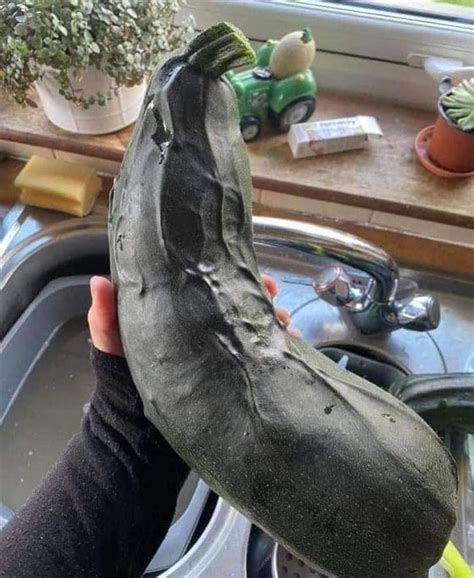 big  veiny rmildlypenis