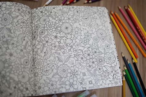 Livro Para Pintura Adulto