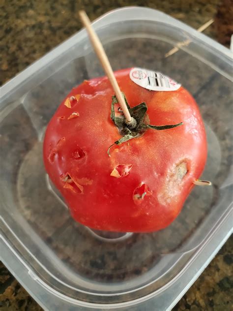 pLaNt moRe tREes! : r/sciencememes