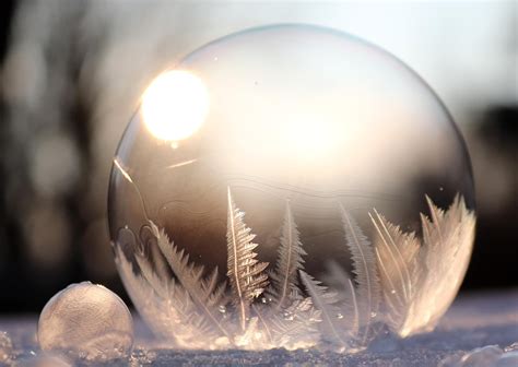 bubble people bubble images pixabay