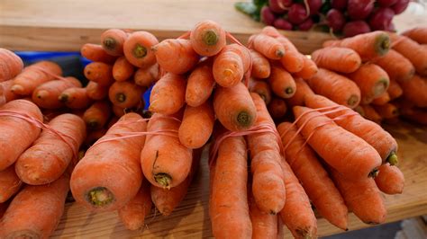Stay Connected With The Clarke County Community By Reading Daily Tributes Found In Athens Banner Herald Obituaries Athens Ga 9
