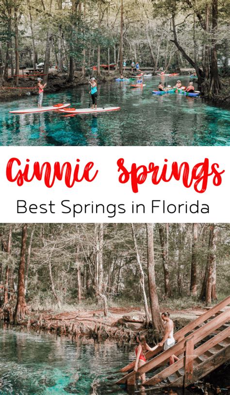 Ginnie Springs Tubing Florida | Photos to Inspire You to Visit This Year!