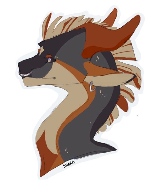 dragon   shardiax  deviantart