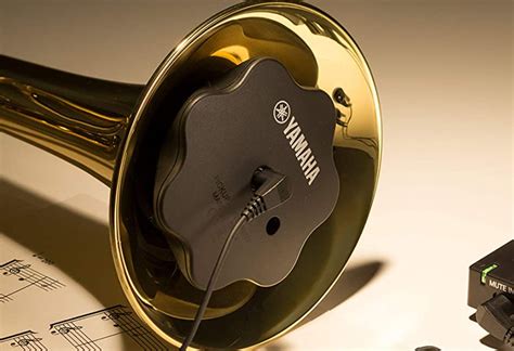 How to Find the Best Trumpet Mute - Brass 'n Wind