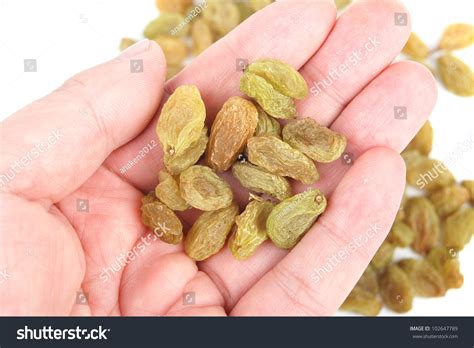 Raisin Stock Photo 102647789 | Shutterstock