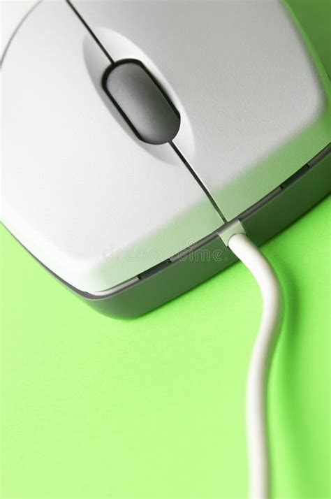 Mouse in macro stock image. Image of green, color, close - 497933