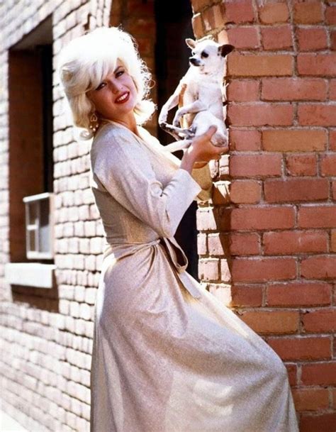 The Untold Story of Jayne Mansfield: Hollywood’s Blonde Bombshell with ...